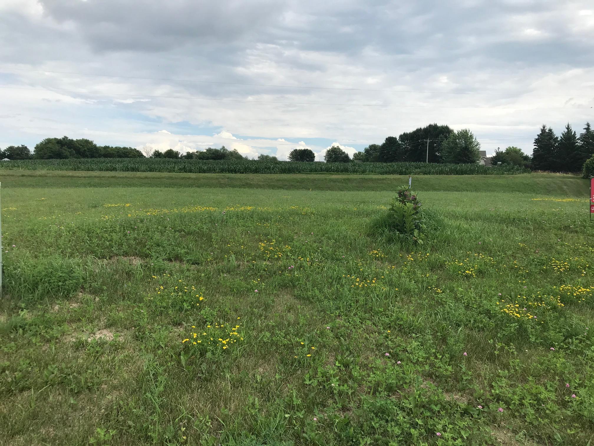 1312 Kathryn Court Buffalo MN 55313 5619076 image1