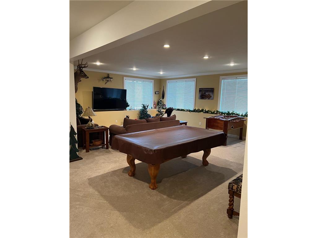1410 Steger Road NW Alexandria MN 56308 - Henry 6518995 image56