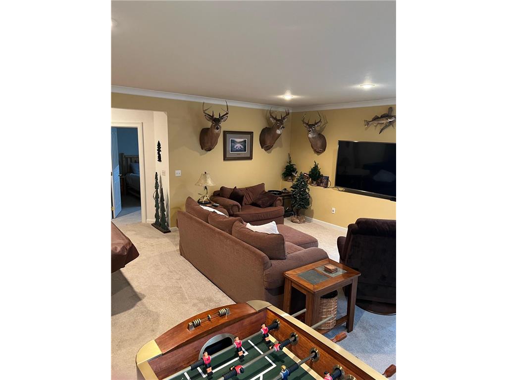 1410 Steger Road NW Alexandria MN 56308 - Henry 6518995 image58