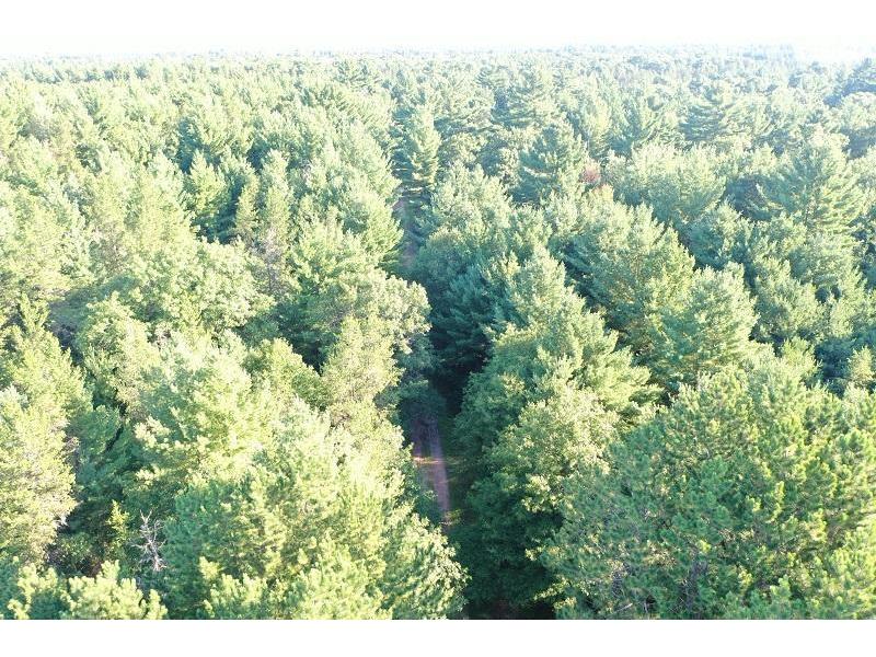 14198 Benson Road Grantsburg WI 54840 6085615 image1