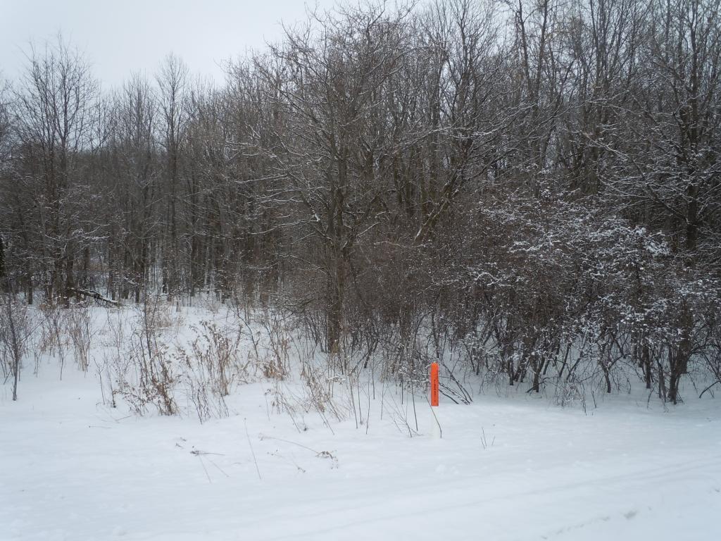 14520 60th Street Otsego MN 55330 5470212 image1