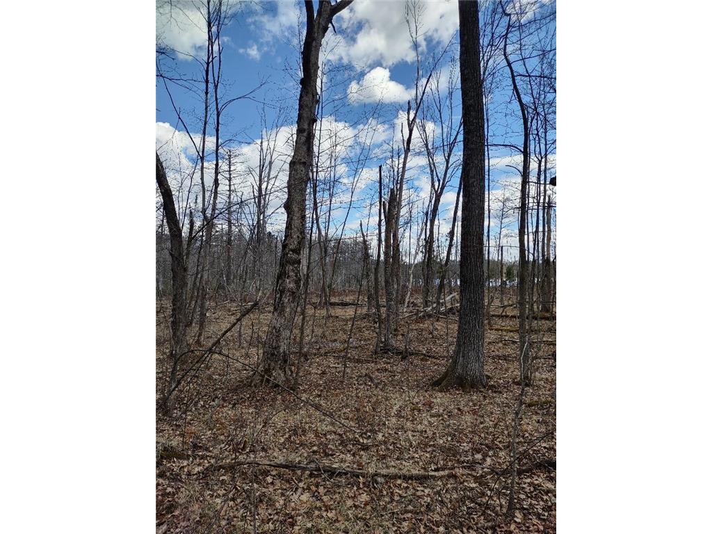 154XX Durphee Lane Hayward WI 54843 - Schoolhouse 6517358 image6