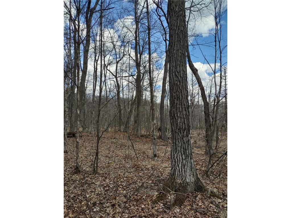 154XX Durphee Lane Hayward WI 54843 - Schoolhouse 6517358 image7