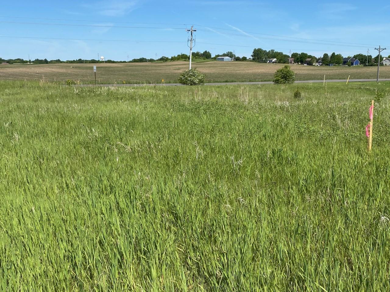 1603 11th Street NE Buffalo MN 55313 6018860 image2