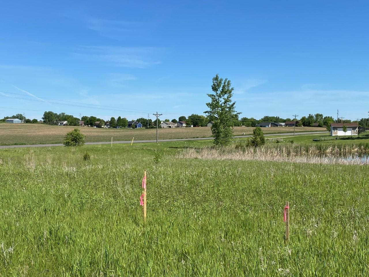 1603 11th Street NE Buffalo MN 55313 6018860 image3