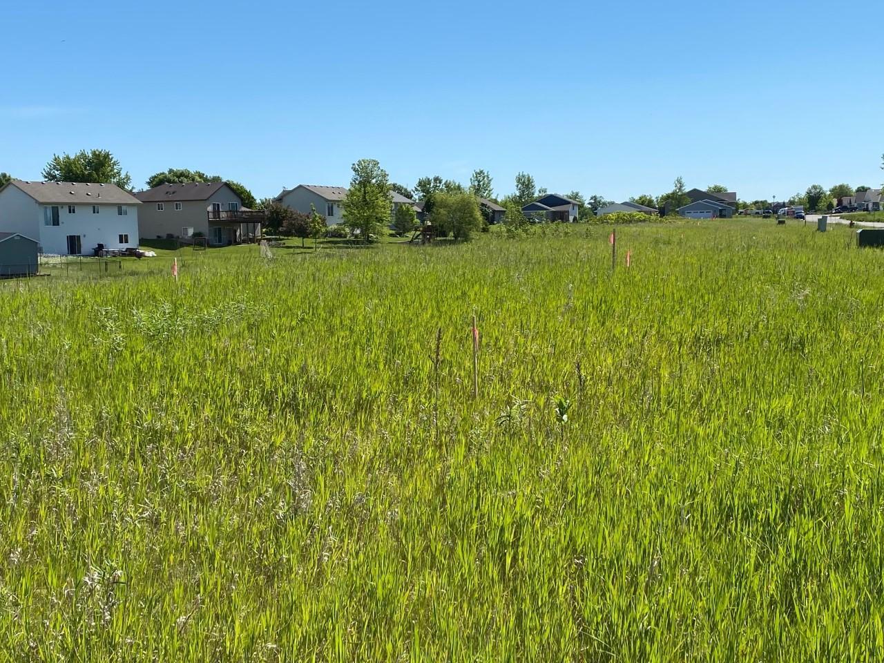 1603 11th Street NE Buffalo MN 55313 6018860 image4