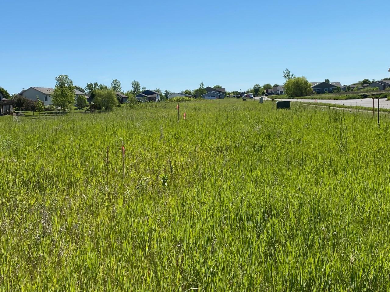 1603 11th Street NE Buffalo MN 55313 6018860 image5