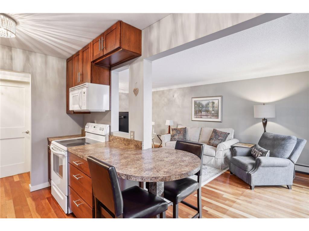 1620 Charlton Street #309 West Saint Paul MN 55118 6511926 image1