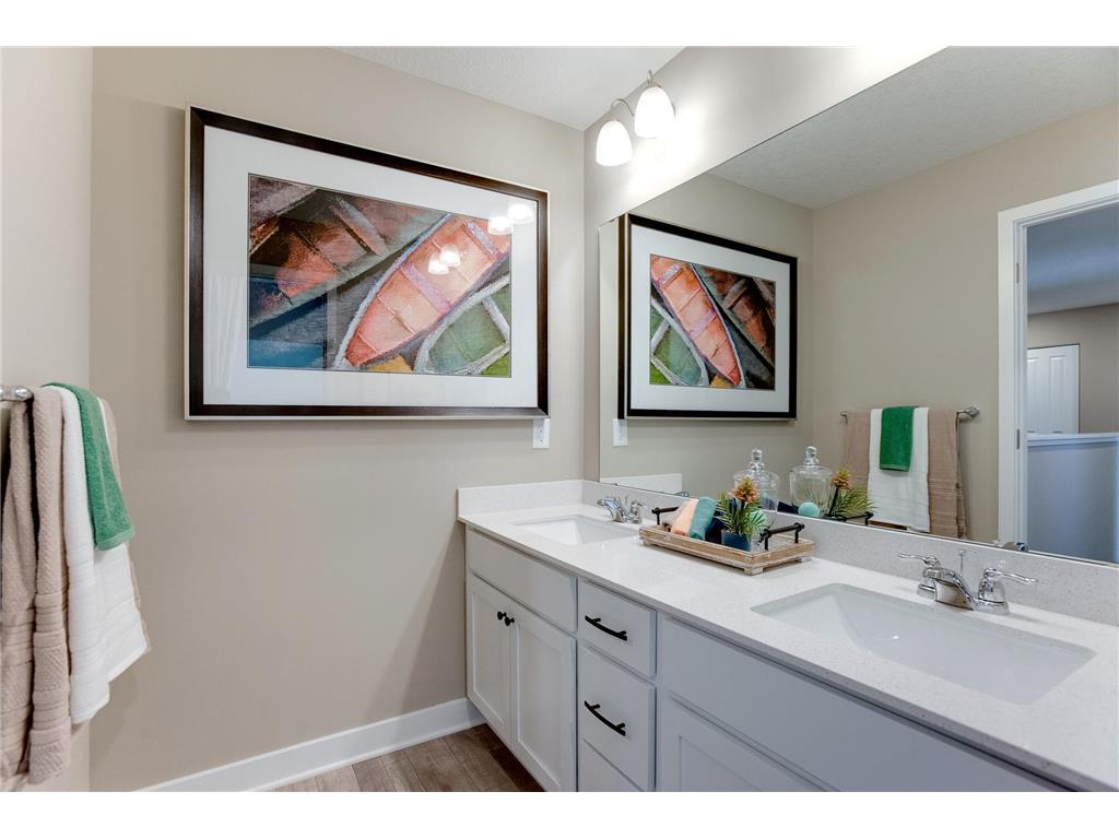 16386 Jaffna Place Lakeville MN 55044 6352563 image43