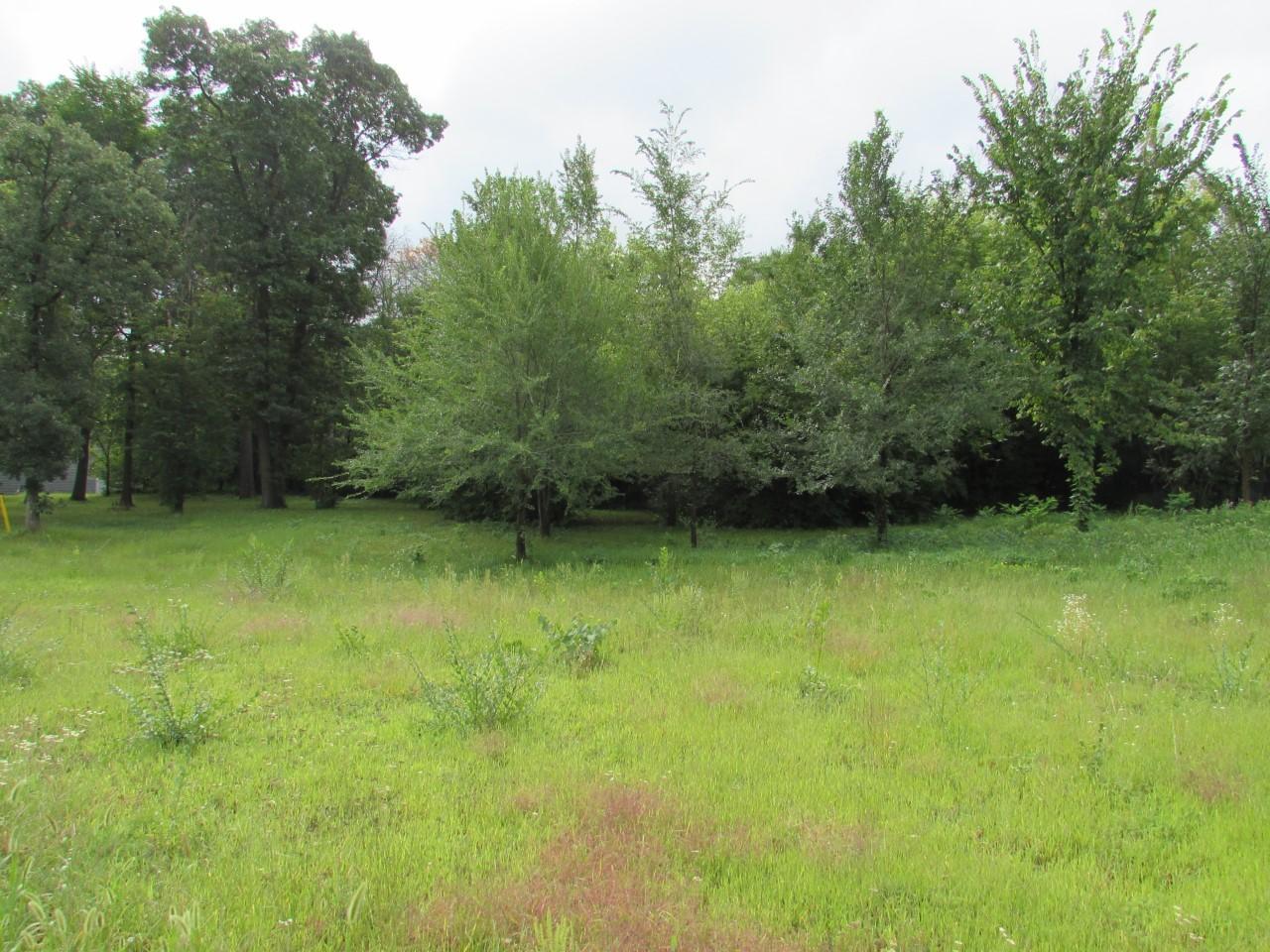 18617 Arctic Avenue Big Lake MN 55309 5649049 image1