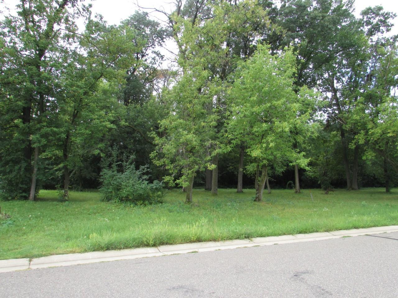 18649 Arctic Avenue Big Lake MN 55309 5649083 image1