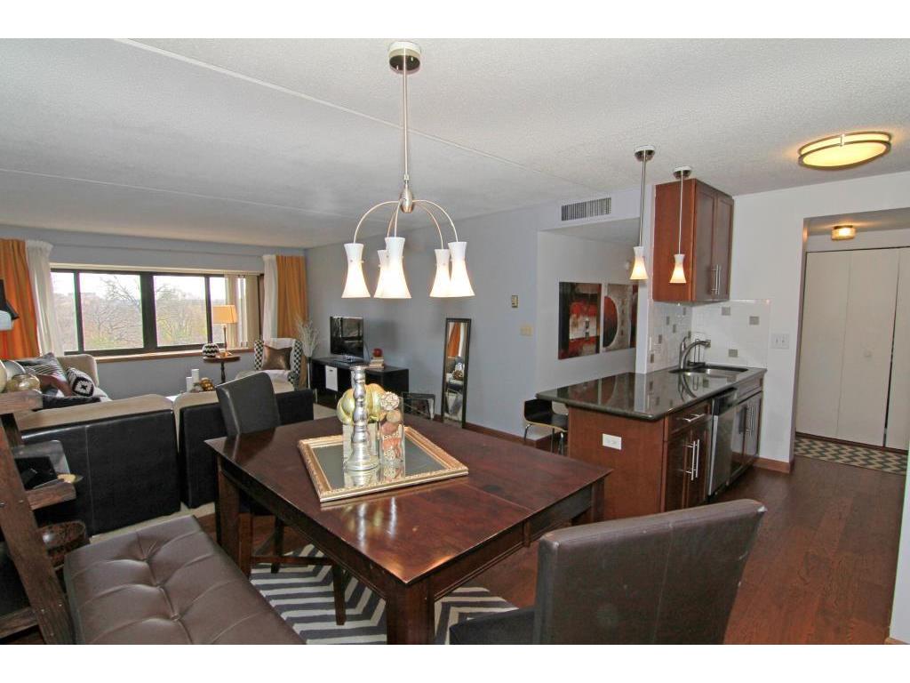 1920 S 1st Street #206 Minneapolis MN 55454 5470450 image1