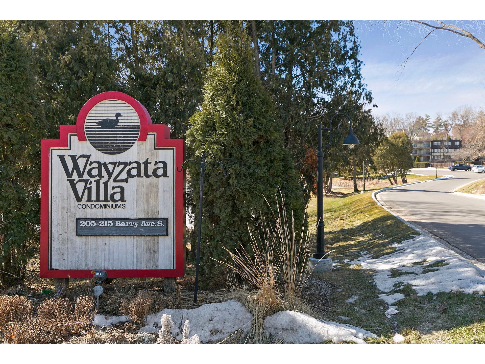 205 Barry Avenue S #313 Wayzata MN 55391 6153249 image1
