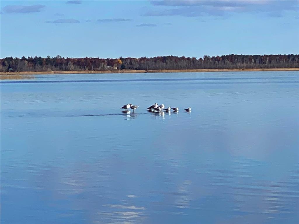 20621 Hidden Paradise Road Brainerd MN 56401 - North Long 6569051 image67