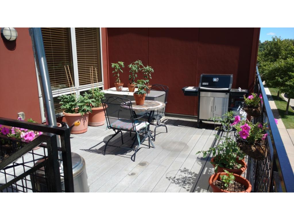 240 Spring Street #203 Saint Paul MN 55102 5490745 image1