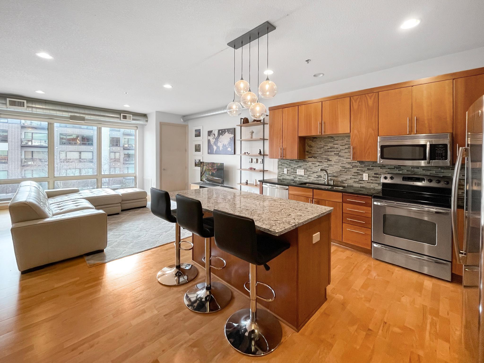 240 Spring Street #309 Saint Paul MN 55102 - Mississippi 6154152 image1