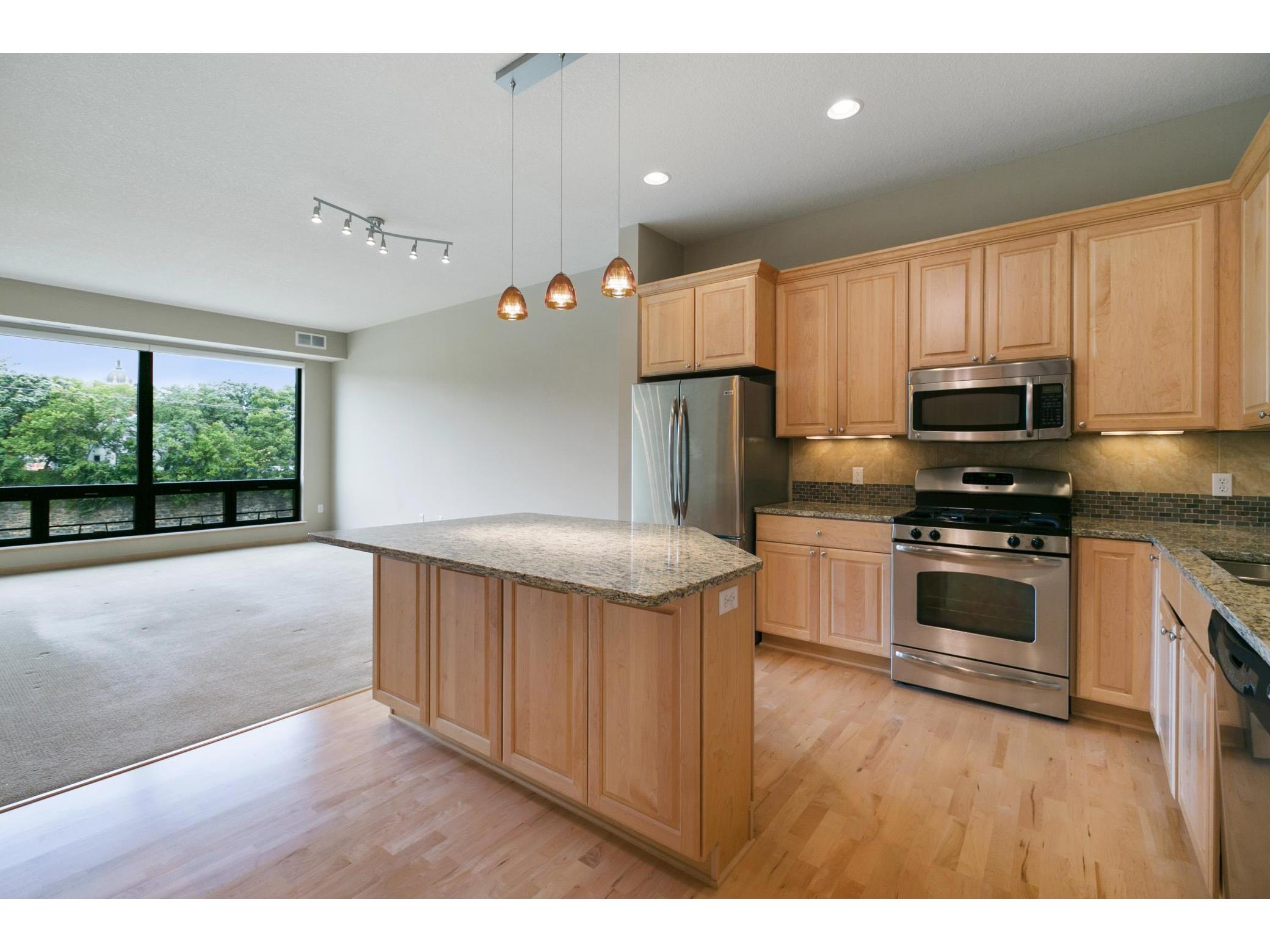 256 Spring Street #412 Saint Paul MN 55102 5621345 image1