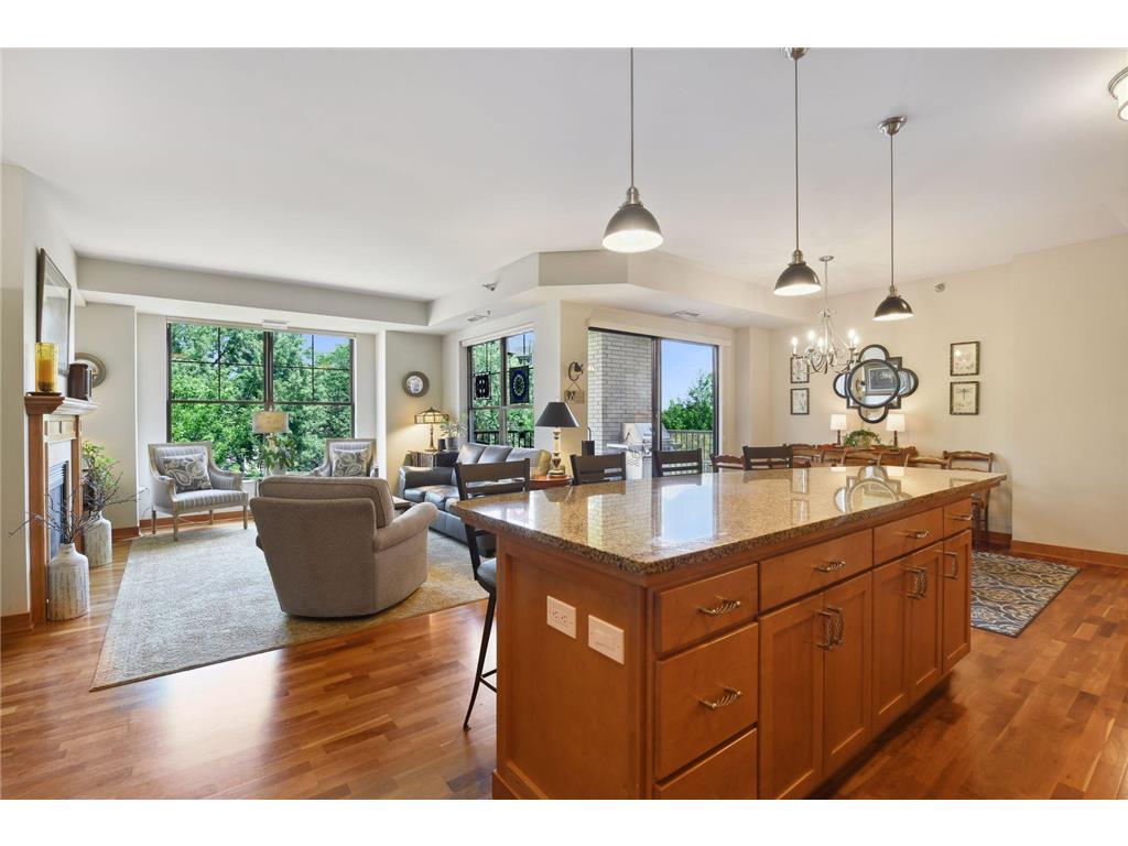 317 Groveland Avenue #502 Minneapolis MN 55403 6239957 image1