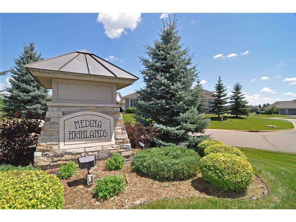 3706 Lilac Drive Medina MN 55340 6310205 image38