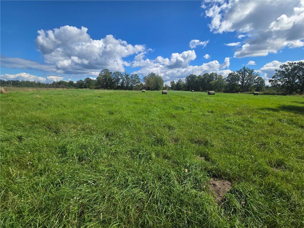 38193 Skyview Road Hillman MN 56338 6597218 image1