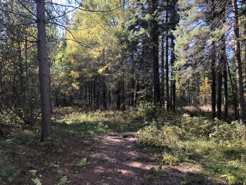 3997 Lost Lake Road Gilbert MN 55741 5489197 image1
