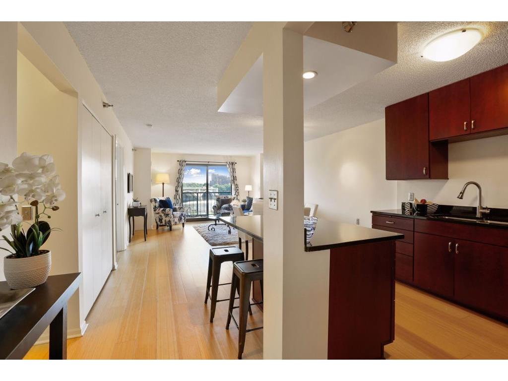 401 S 1st Street #219 Minneapolis MN 55401 5575587 image1