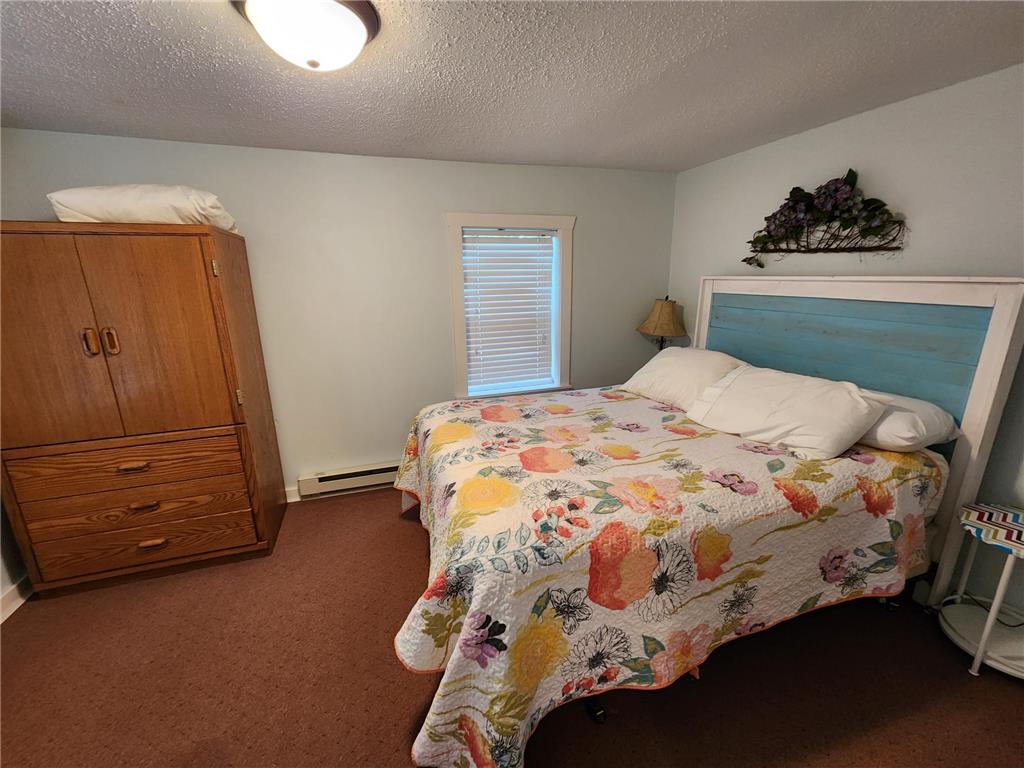 40335 Little Toad Road Detroit Lakes MN 56544 - Little Toad 6594854 image22