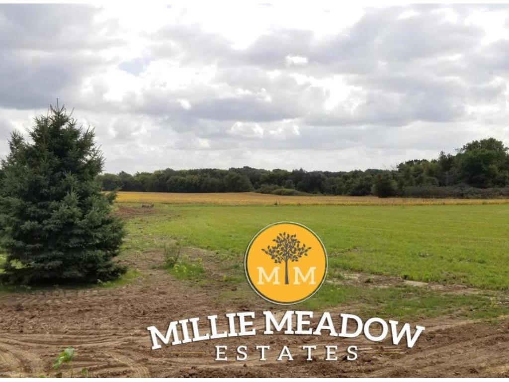 4119 Millie Meadow Drive SW Rochester MN 55902 5542738 image1