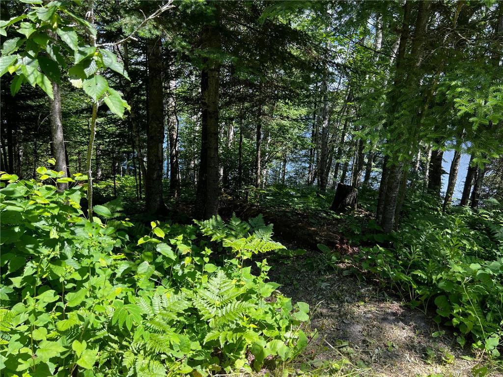 43216 S Fork Lake Road Nashwauk MN 55769 - South Fork 6644557 image32