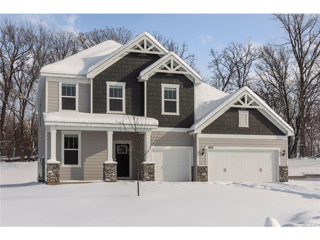 445 Lilium Trail Medina MN 55340 6326433 image4