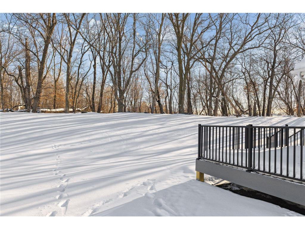 445 Lilium Trail Medina MN 55340 6326433 image42