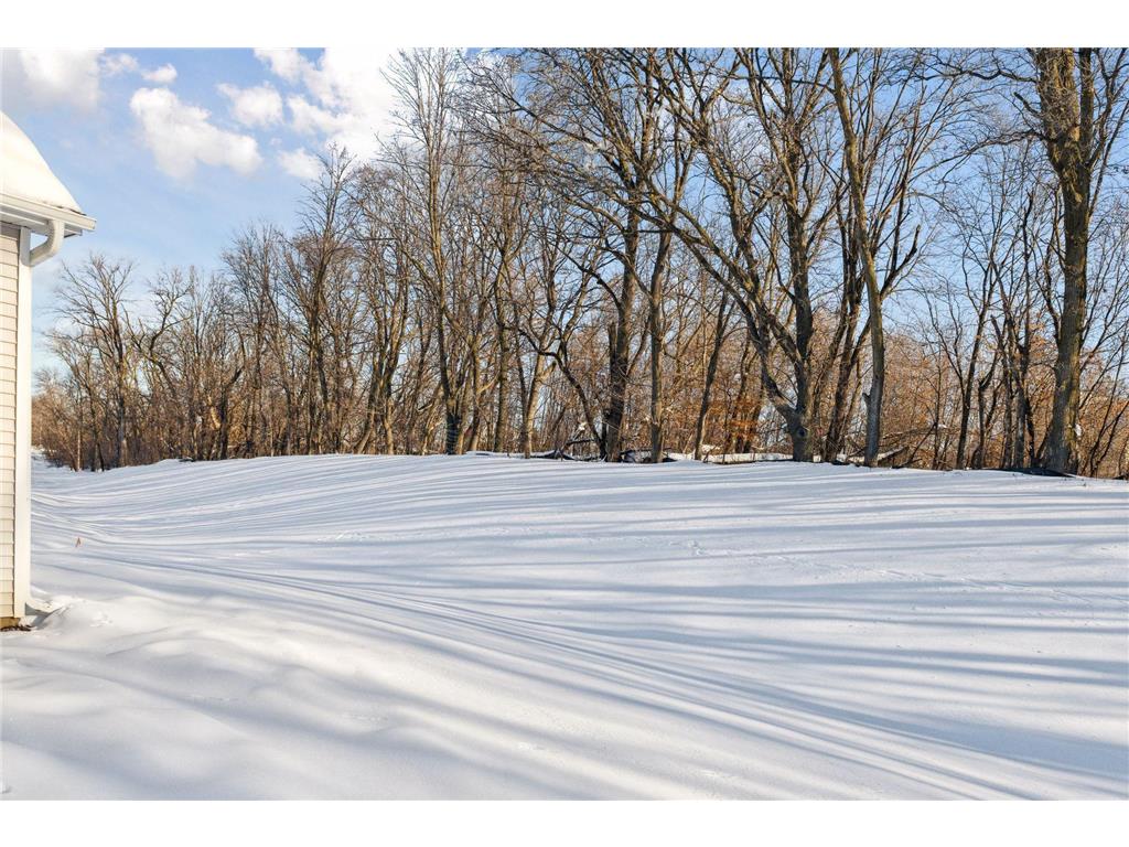 445 Lilium Trail Medina MN 55340 6326433 image43