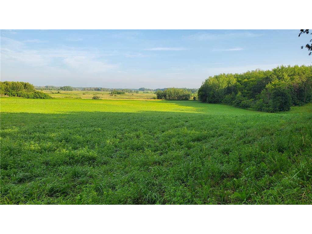 48xxx County Highway 38 Effington Twp MN 56361 6214919 image1