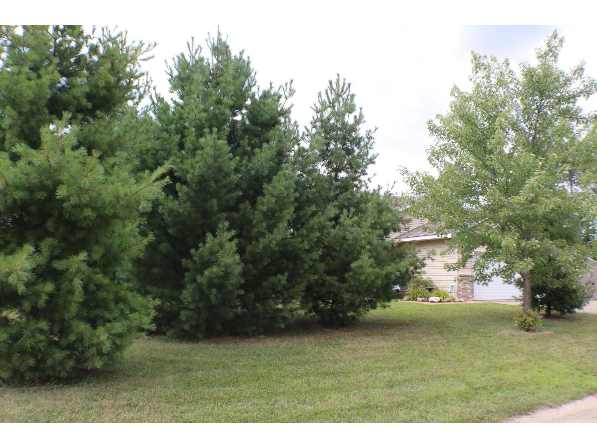 493 Dale Street Somerset WI 54025 5637029 image1