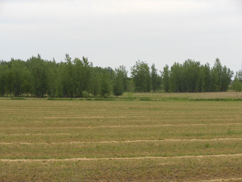 500 45th Avenue SE Willmar MN 56201 5607702 image1
