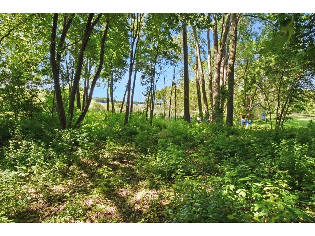 5XXX 220th Street N Forest Lake MN 55025 - Clear Lake 5254944 image1