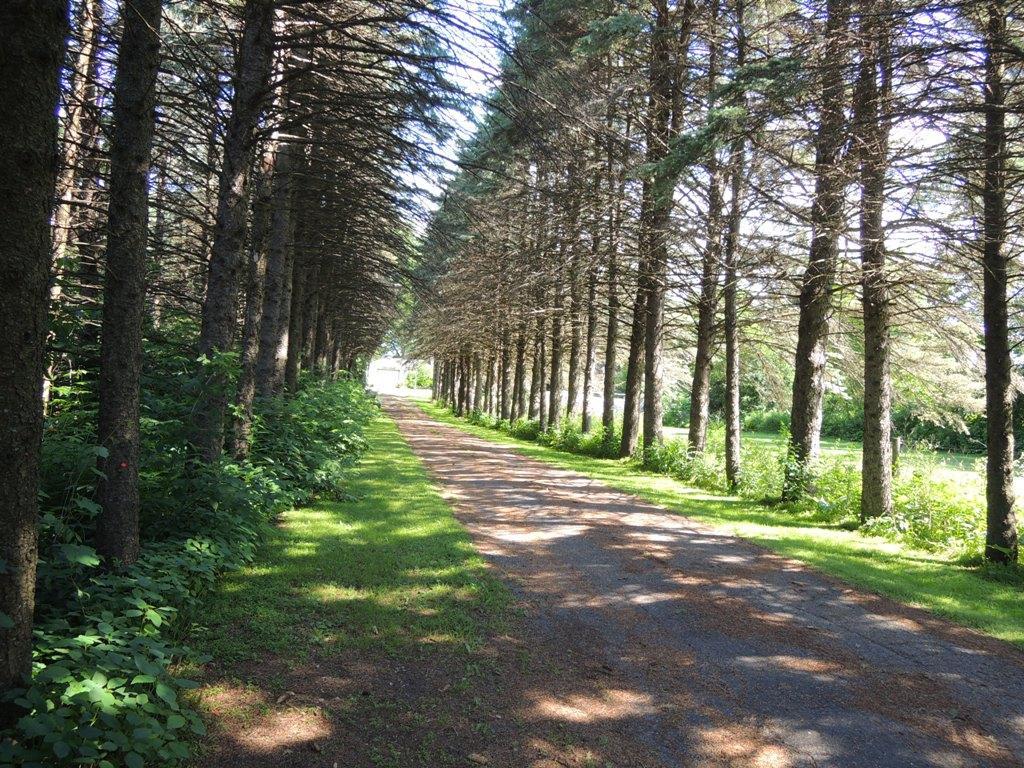 7730 Military Road Woodbury MN 55129 5575741 image1