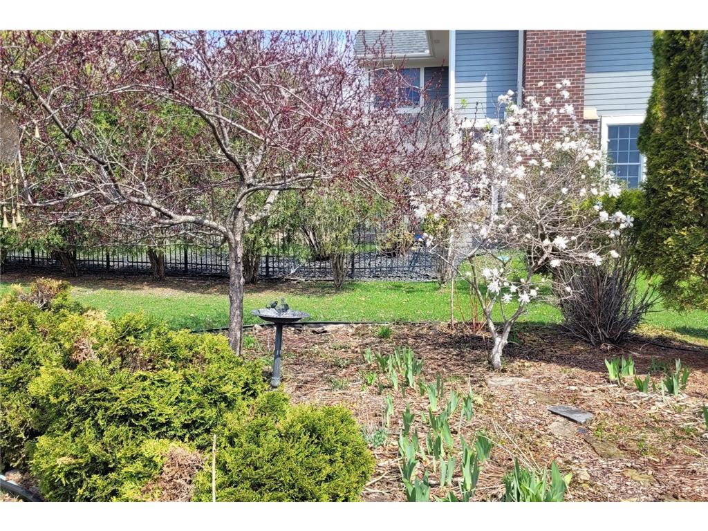 8048 Marsh Creek Alcove Woodbury MN 55125 6336852 image34