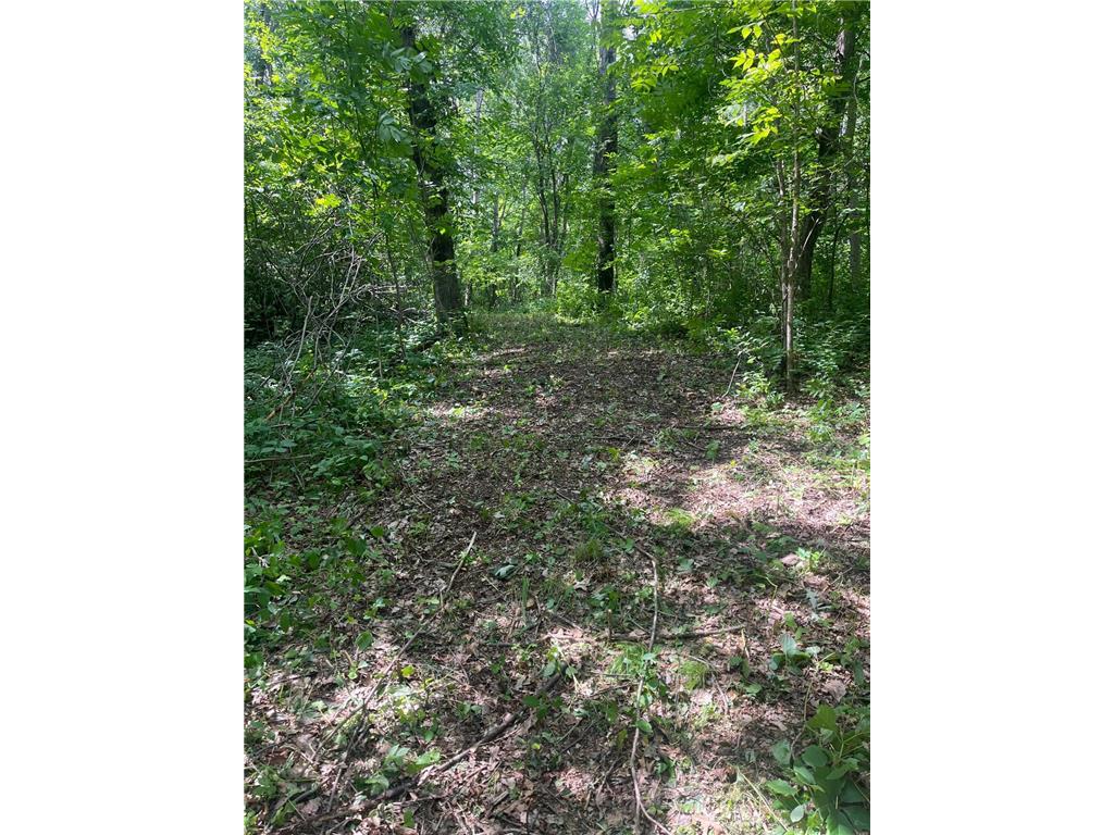 8464 County Road 144 Brainerd MN 56401 6404170 image1