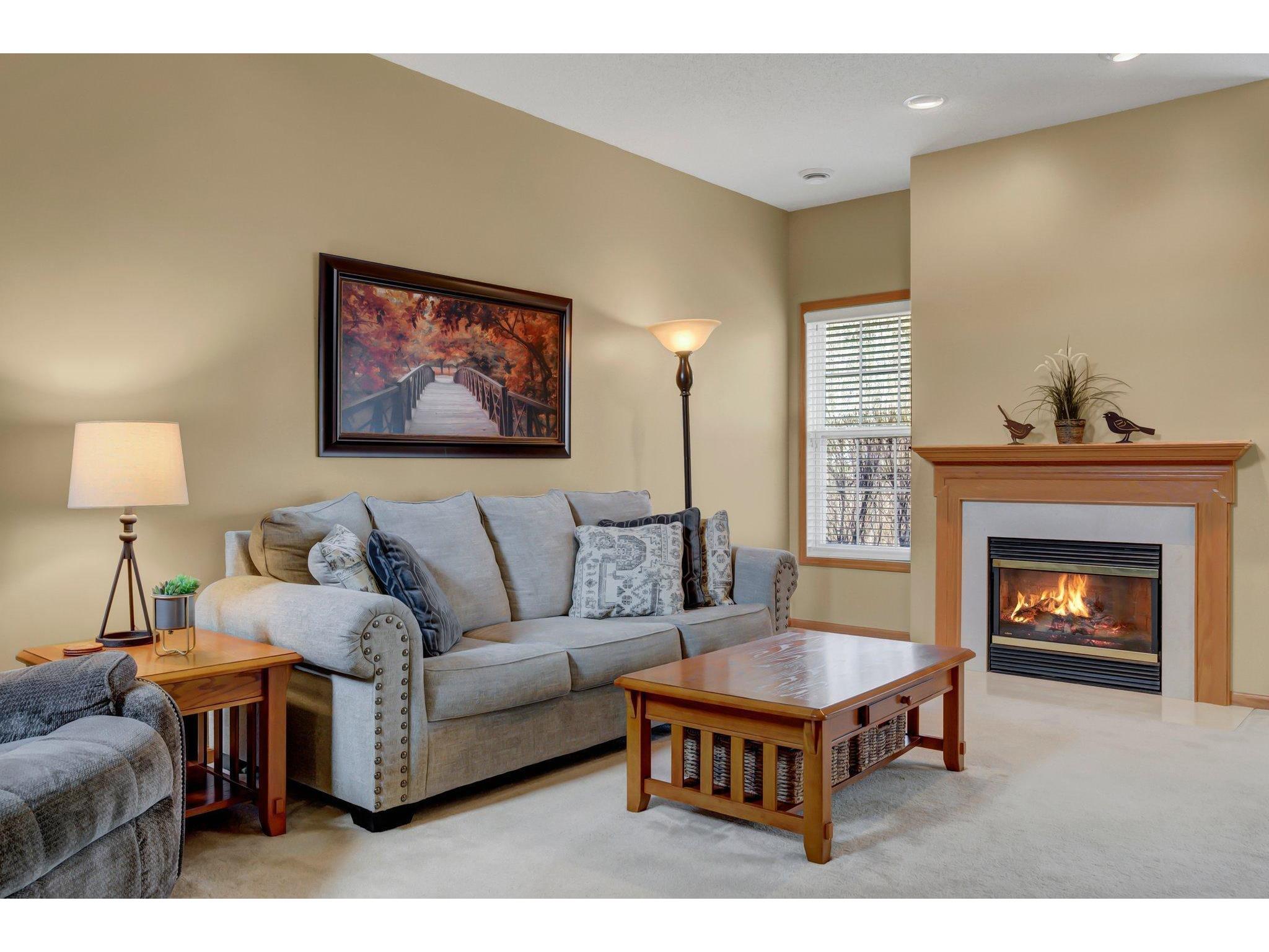 910 Village Parkway Circle Pines MN 55014 5740731 image1