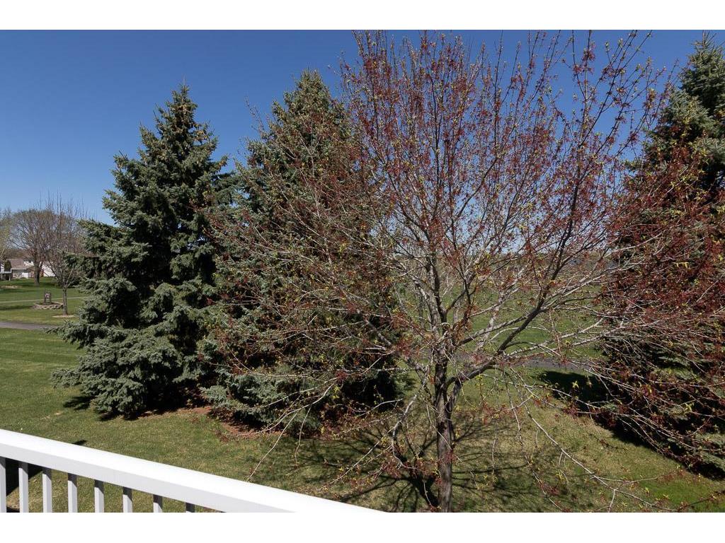 9134 Preserve Trail Savage MN 55378 5549310 image14