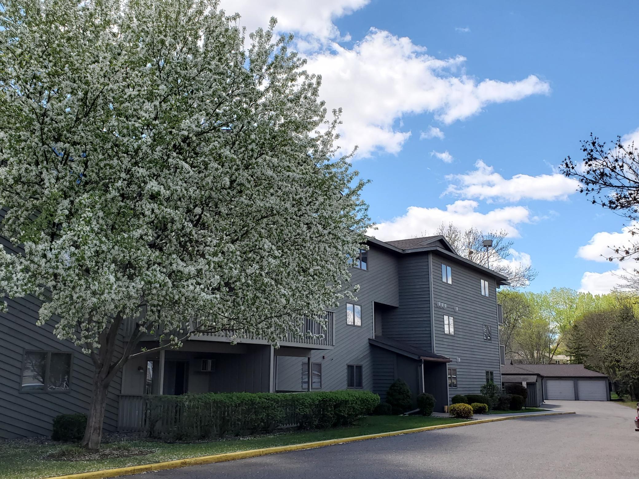 930 Lyn Way #206 Hastings MN 55033 5749502 image1