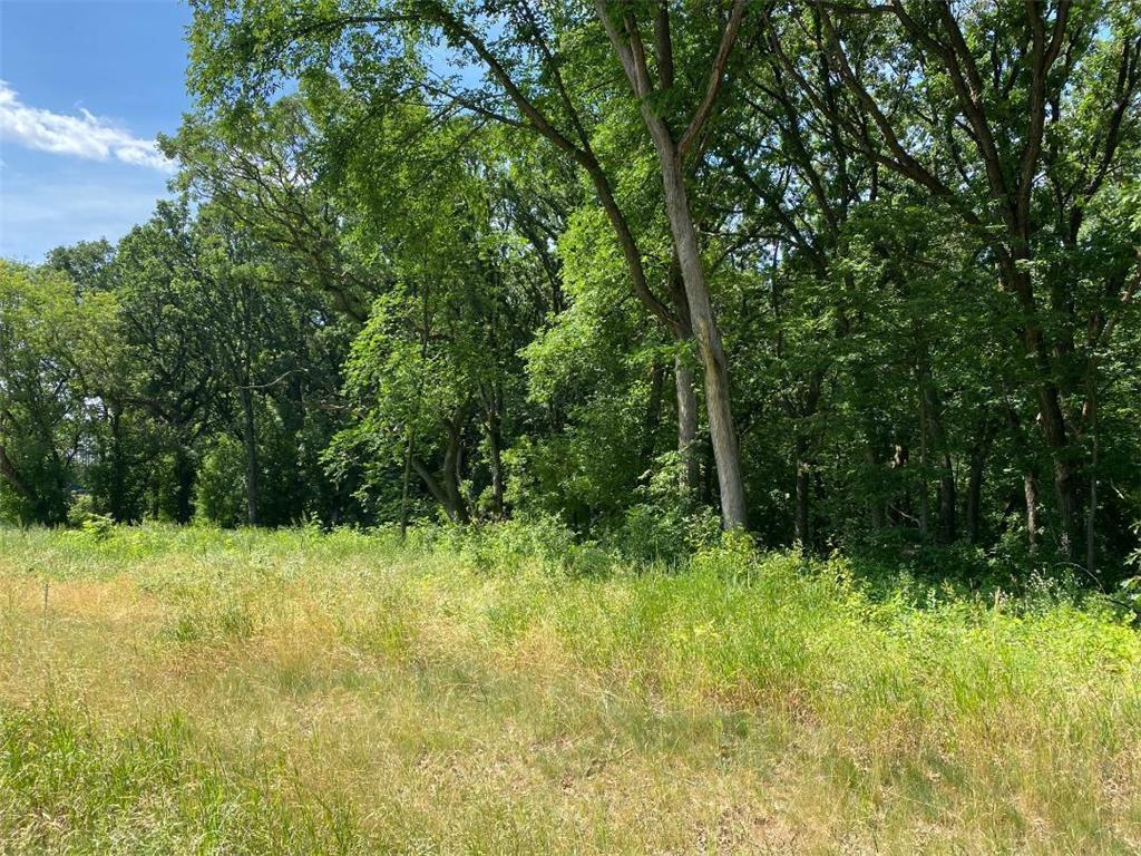 L4 B2 54th Street SE Clear Lake MN 55319 - Rush 6228701 image1