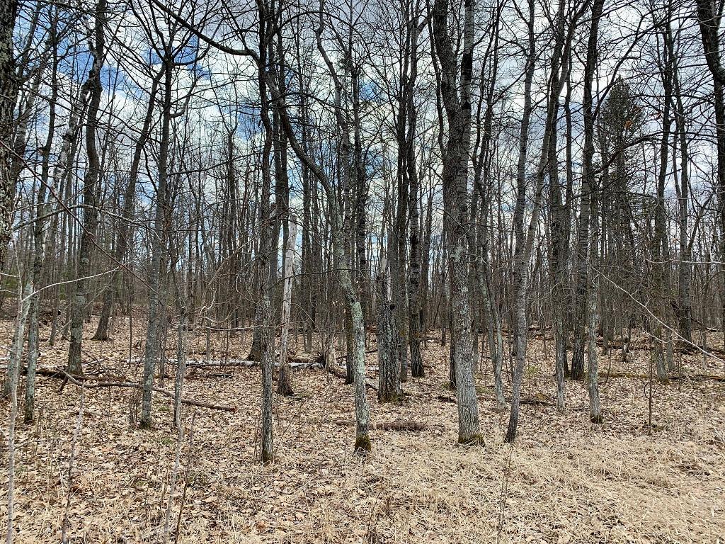 LOT 4 Woodtick Trail NW Hackensack MN 56452 - Moccasin 6505828 image4