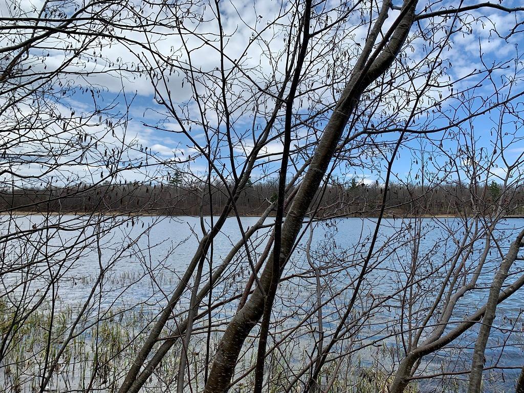 LOT 4 Woodtick Trail NW Hackensack MN 56452 - Moccasin 6505828 image5