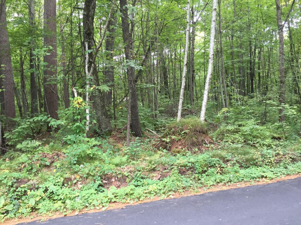 Lot 1 Dixon Avenue Hayward WI 54843 5009950 image1