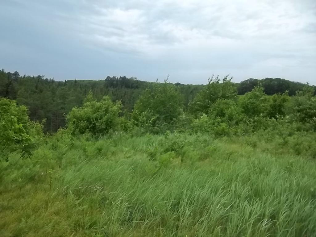 Lot 1 Gile Road Grantsburg WI 54840 5577621 image1