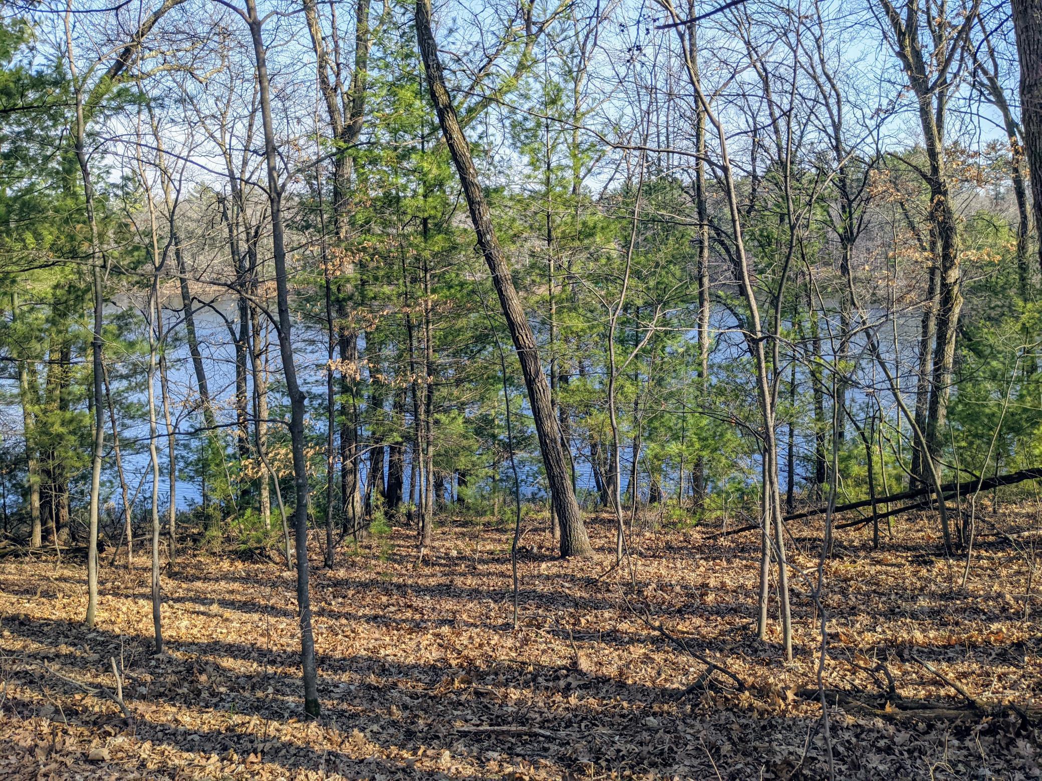 Lot 10 103rd Street S Frederic WI 54837 - Knapp Flowage 5735159 image1