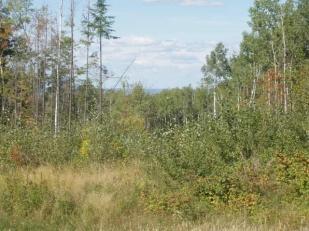 Lot 10 Bluff Creek Trails Superior WI 54880 5395970 image1