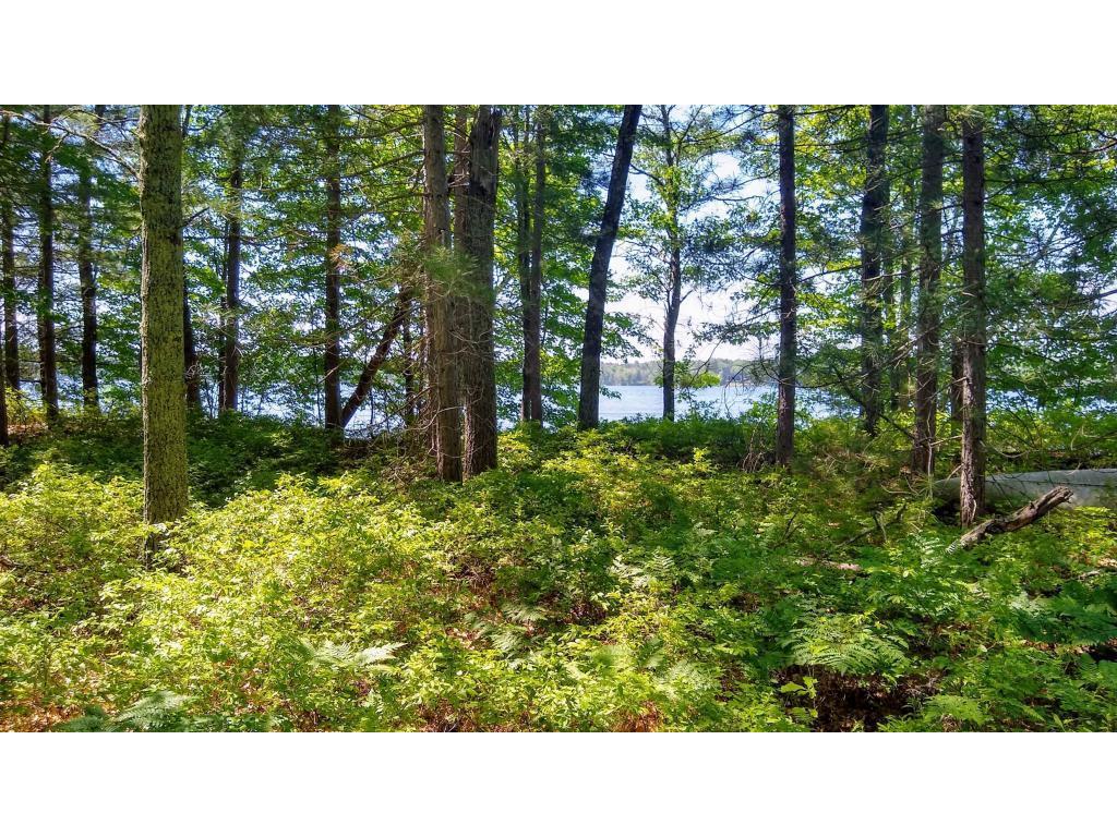 Lot 17 Palmborg Drive Union Twp WI 54830 - Bass Lake 5580130 image1